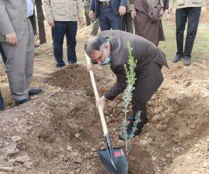 کاشت یک میلیون نهال در استان لرستان همزمان با روز درختکاری