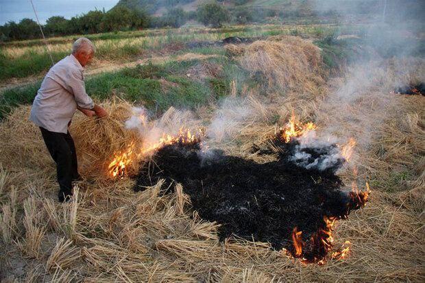 ممنوعیت سوزاندن بقایای گیاهی اراضی کشاورزی در استان