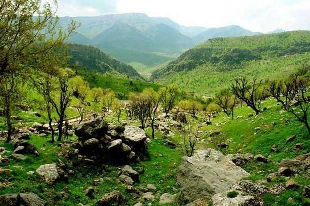 احداث پاسگاه‌های حفاظتی موجب افزایش ضریب حفاظتی در اراضی ملی لرستان خواهد شد